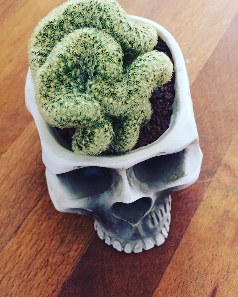 Unique Planters